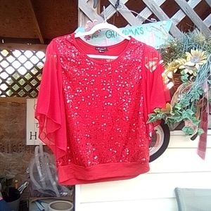 Dillards new with tags kakara sheer sleeve sparkle blouse